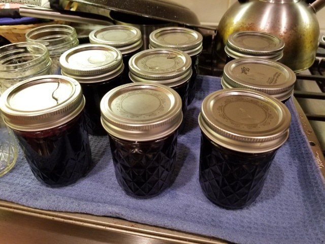 end of jamming night: 9 full jam jars