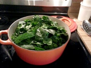 spinach, uncooked