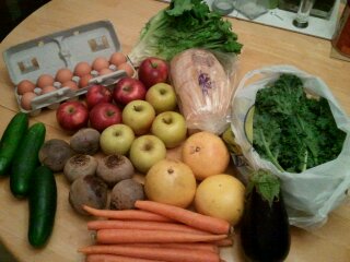 spring CSA, week 6