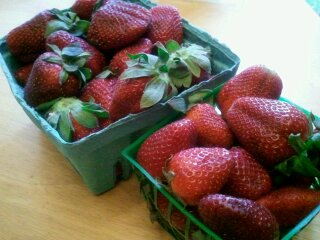 week 8: strawberries!