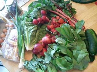 spring CSA, week 10