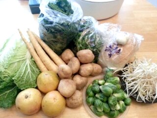 spring CSA, week 4