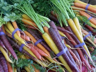 rainbow carrot assortment