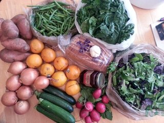 spring CSA, week 8