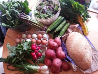 spring CSA, week 10