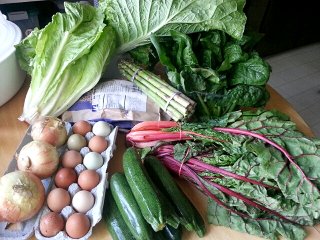 spring CSA, week 12