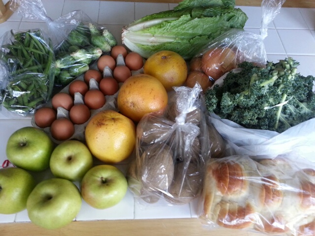 spring CSA, week 6