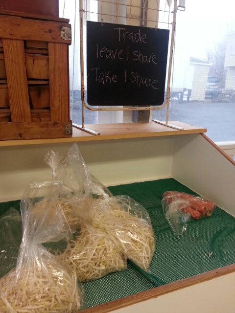 bean sprouts on the trade table