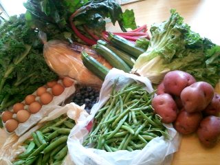 summer CSA, week 2