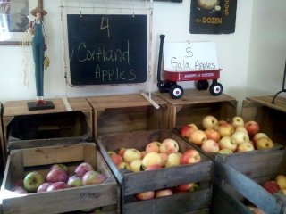 apples at the pickup site