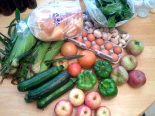 summer CSA, week 14