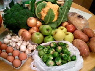 summer/fall CSA, week 19