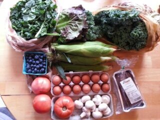 summer CSA, week 5