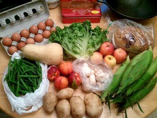 summer CSA, week 14