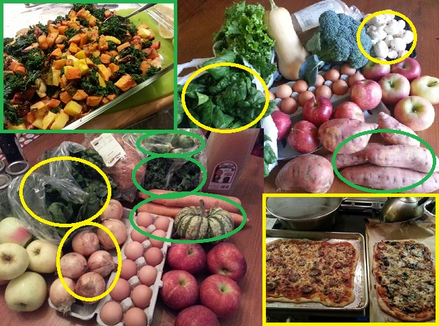 what happens to CSA veggies