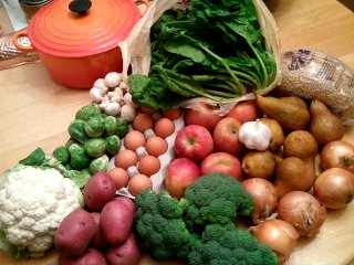 summer CSA, week 22